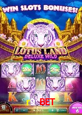 A Experiência Imersiva dos Cassinos Ao Vivo no r9 bet